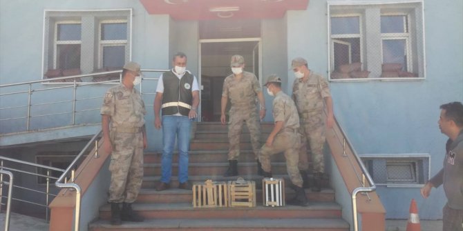 Erzurum'da kınalı keklik avlayan avcılar suçüstü yakalandı!