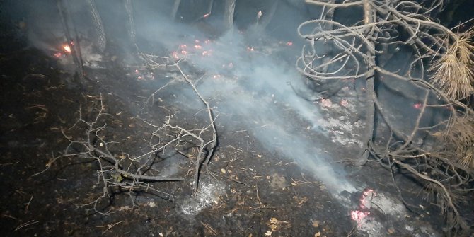 Karabük'te orman yangını söndürüldü