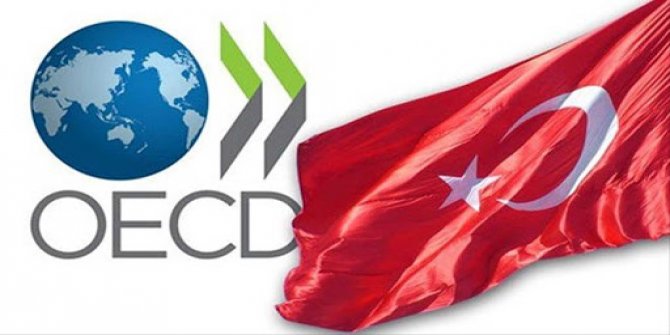 OECD Türkiye ekonomisi tahminini revize etti