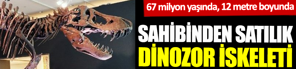 Sahibinden satılık dinozor iskeleti! 67 milyon yaşında, 12 metre boyunda