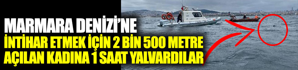 Marmara Denizi'ne intihar etmek için 2 bin 500 metre açılan kadına 1 saat yalvardılar