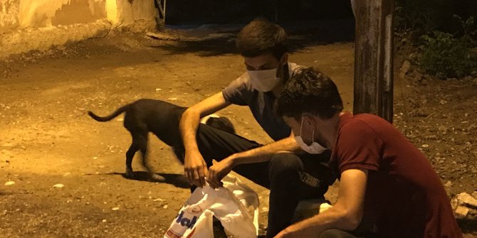 Adana'da iş yerine giren hırsızları "Zümrüt" yakaladı