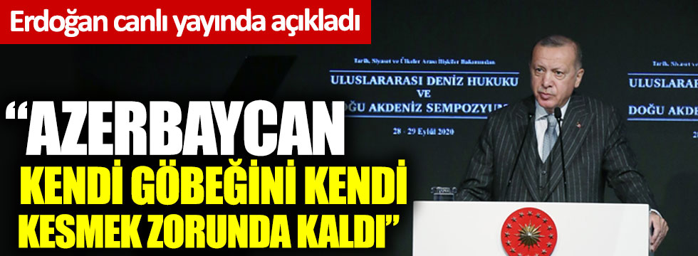 Erdoğan: Azerbaycan kendi göbeğini kendi kesmek zorunda kaldı