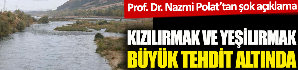 İsrail Sazanı diğer balıkların soyunu tüketiyor. Kızılırmak ve Yeşilırmak tehdit altında. Prof. Dr. Nazmi Polat’tan şok açıklama.