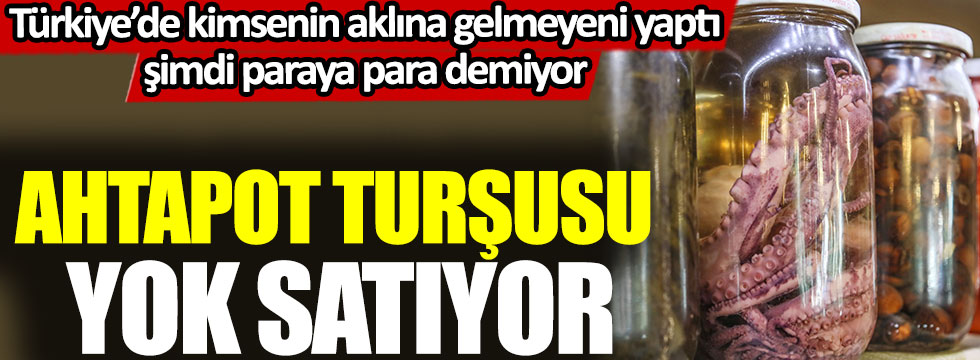 Ahtapot turşusu yok satıyor, Türkiye’de kimsenin aklına gelmeyeni yaptı şimdi paraya para demiyor