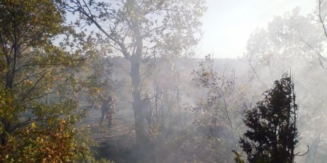 Domaniç'teki orman yangını söndürüldü