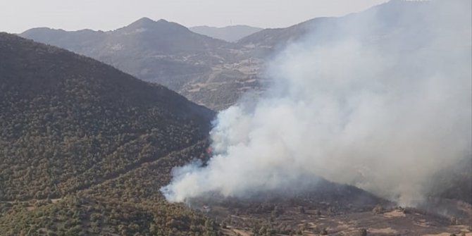 Akhisar'daki orman yangını havadan söndürüldü