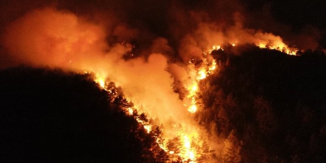 Adana'da orman yangını! 100 işçiyle kontrol altına alınabildi