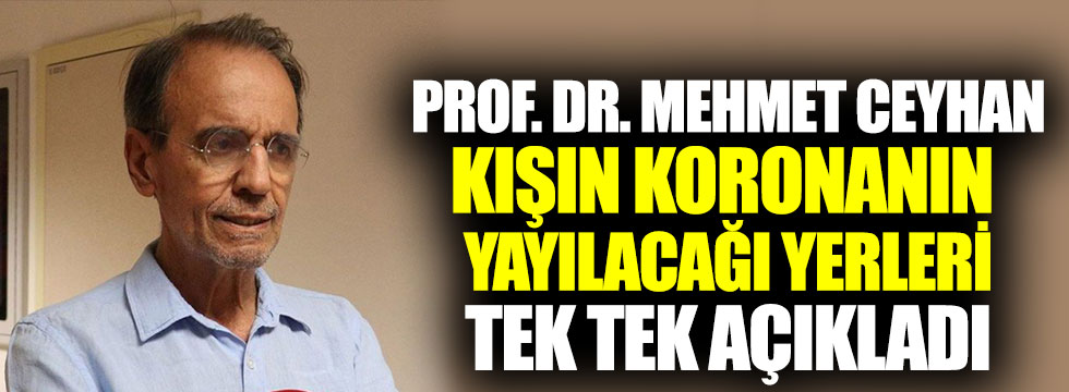 Prof. Dr. Mehmet Ceyhan, kışın koronanın yayılacağı yerleri tek tek açıkladı