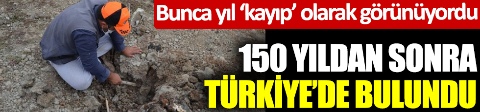 150 yıldan sonra Türkiye'de bulundu! Bunca yıl 'kayıp' olarak görünüyordu