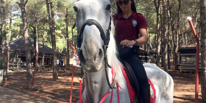 Atlı polisler Aydos Ormanı'nda denetim gerçekleştirdi