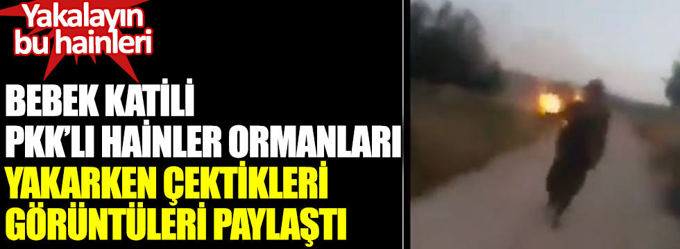 Bebek katili PKK'lı hainler ormanları yakarken çektikleri görüntüleri paylaştı. Yakalayın bu hainileri