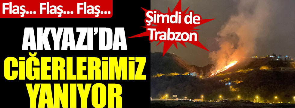 Hatay'dan sonra şimdi de Trabzon... Akyazı'da orman yangını