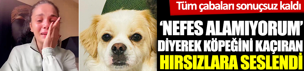 Tüm çabaları sonuçsuz kaldı. 'Nefes alamıyorum' diyerek Kadıköy'de köpeğini kaçıran hırsızlara seslendi