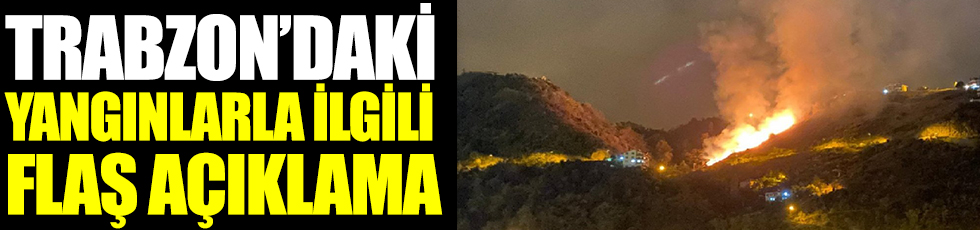 Trabzon'daki yangınlarla ilgili flaş açıklama