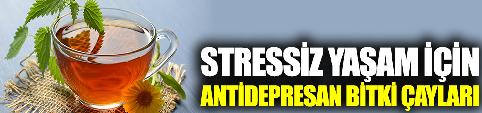 Rahat bir uyku ve stressiz bir yaşam için doğal antidepresan bitki çayları