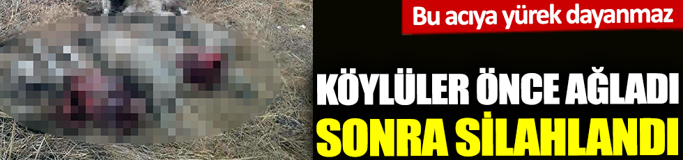Edirne'de köylüler önce ağladı sonra silahlandı. Bu acıya yürek dayanmaz