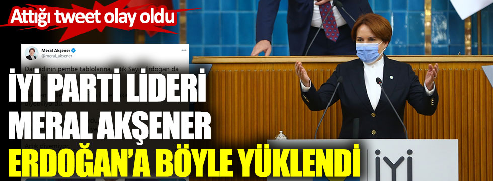 İYİ Parti lideri Akşener Erdoğan'a böyle yüklendi Attığı tweet olay oldu