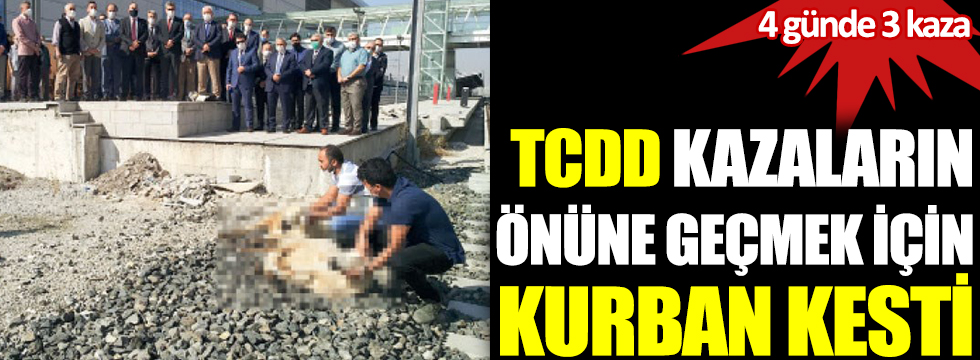 TCDD kazaların önüne geçmek için kurban kesti. 4 günde 3 kaza yaptı