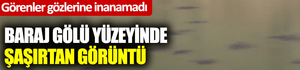 Baraj gölü yüzeyinde şaşırtan görüntü. Görenler gözlerine inanamadı