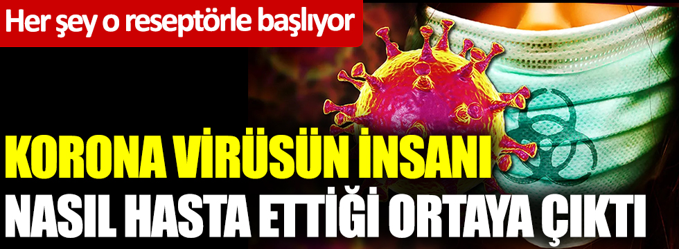 Korona virüsün insanı nasıl hasta ettiği ortaya çıktı! Her şey o reseptörle başlıyor