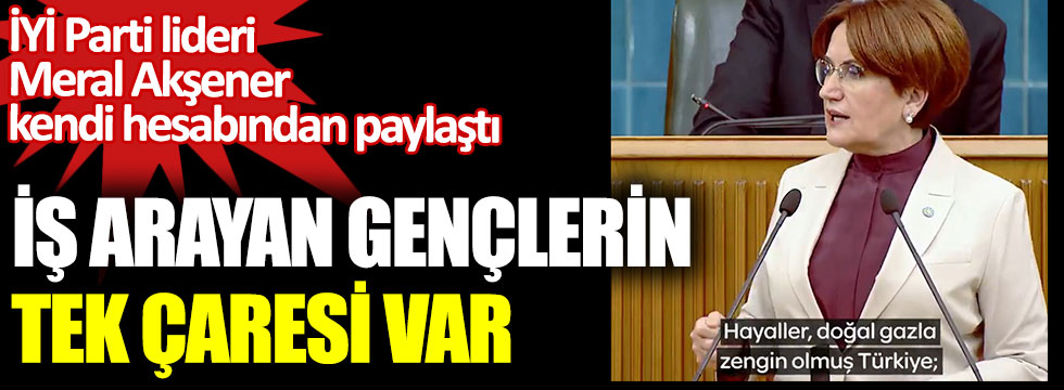 İYİ Parti Genel Başkanı Meral Akşener, kendi hesabından paylaştı. İş arayan gençlerin tek çaresi var