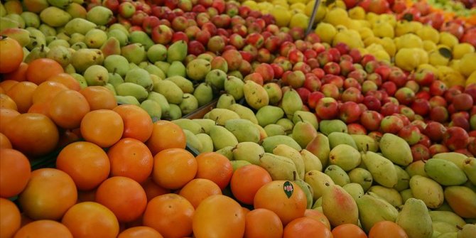 Türkiye’nin yaş meyve ve sebze ihracatında ilk sıralarda yer alan ürünler belli oldu
