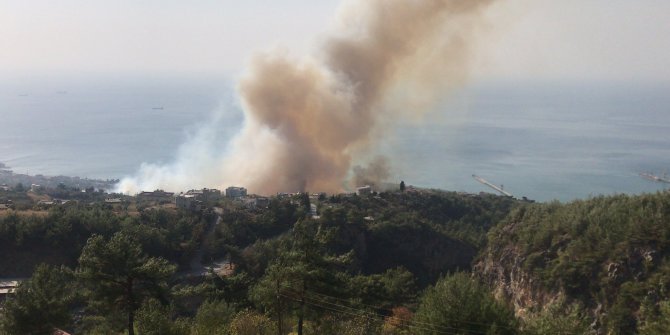 İskenderun'da farklı bir mahallede orman yangını çıktı