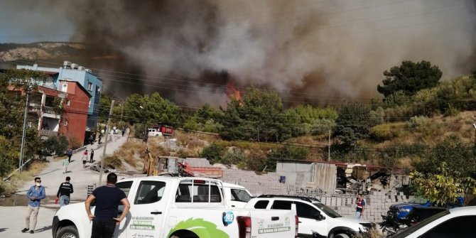 Bakan Pakdemirli, Mersin, Adana ve Hatay'daki yangınlarda son durumu açıkladı