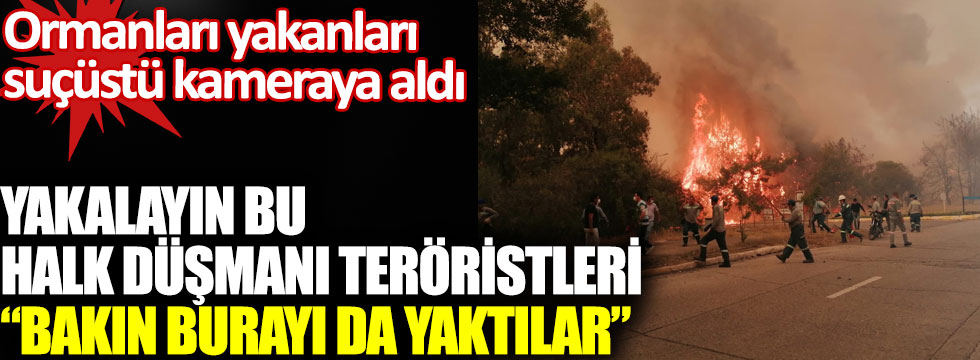 İskenderun'da ormanları yakanları suçüstü kameraya aldı, Yakalayın bu halk düşmanı teröristleri!