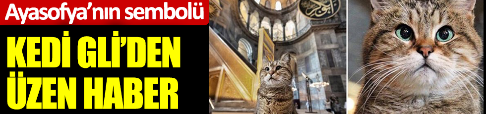 Ayasofya’nın sembolü kedi Gli’den üzen haber
