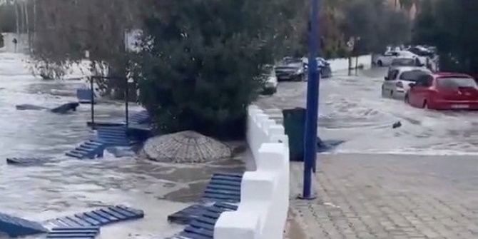 İzmir depreminde yürekleri dağlayan olay! Tekerlekli sandalyesi devrildi suda boğuldu