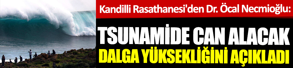 Kandilli Rasathanesi'den Dr. Öcal Necmioğlu: Tsunamide can alacak dalga yüksekliğini açıkladı