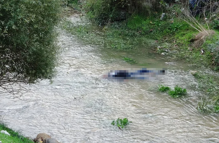 Bursa'da derede erkek cesedi bulundu