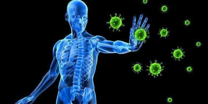 Harvard Üniversitesi doktorları ortaya çıkardı. Bağışıklığı güçlendiriyor diye biliniyordu zerre faydası yokmuş