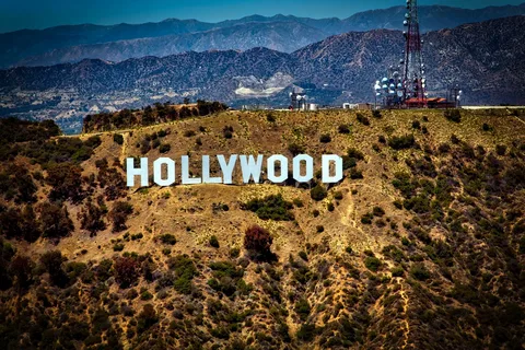 Bursa'nın Hollywood Çetesi çökertildi