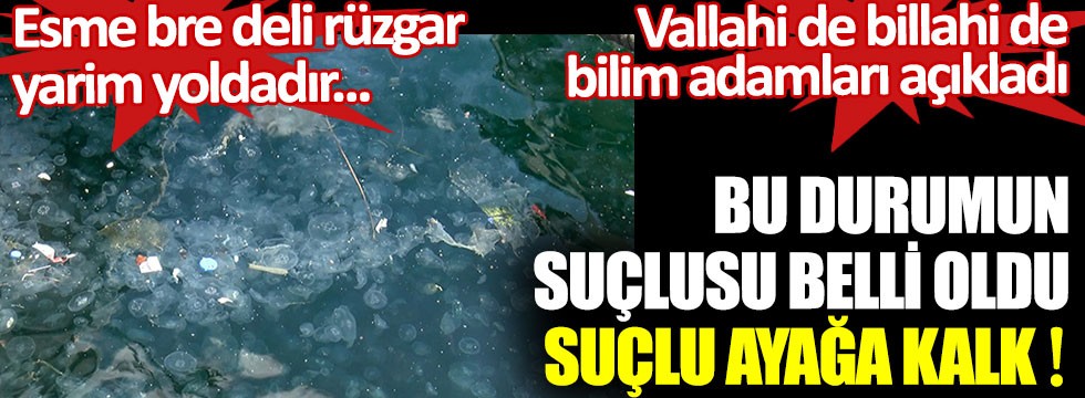 İstanbul Boğazı'ndaki bu durumun suçlusu belli oldu, suçlu ayağa kalk. Esme bre deli rüzgar yarim yoldadır...