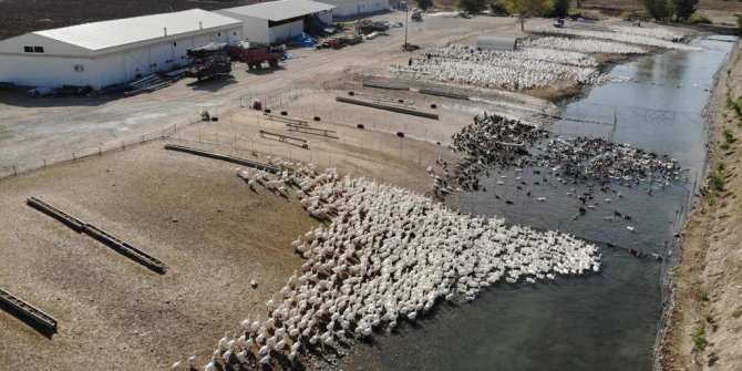 Hobi olarak başladı şimdi paraya para demiyor. Türkiye'nin dört bir yanından sipariş yağıyor