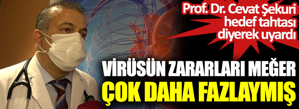 Korona virüsün zararları meğer çok daha fazlaymış. Prof. Dr. Cevat Şekuri, hedef tahtası diyerek uyardı