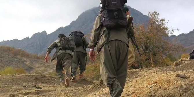 PKK'lı kadın terörist teslim oldu