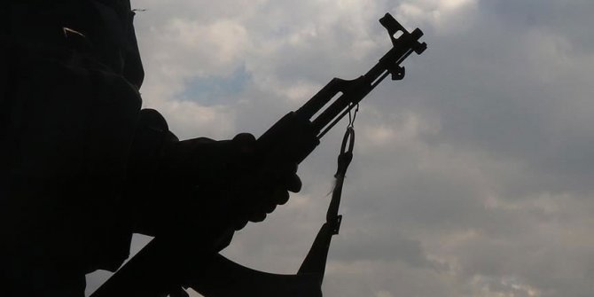 Van'da iki PKK'lı terörist teslim oldu
