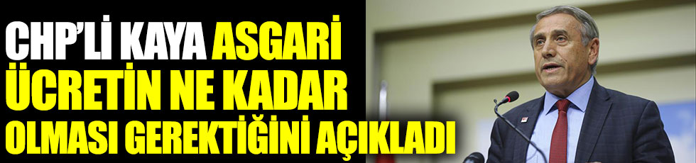 CHP Ankara Milletvekili Yıldırım Kaya, asgari ücretin ne kadar olması gerektiğini açıkladı