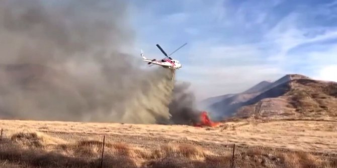 Kaliforniya’daki orman yangını 2 bin dönümlük alana yayıldı