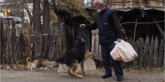 Hayvanların sevgilisi Satılmış İncedere, kedi ve köpekleri beslemek için her gün 10 kilometre yürüyor