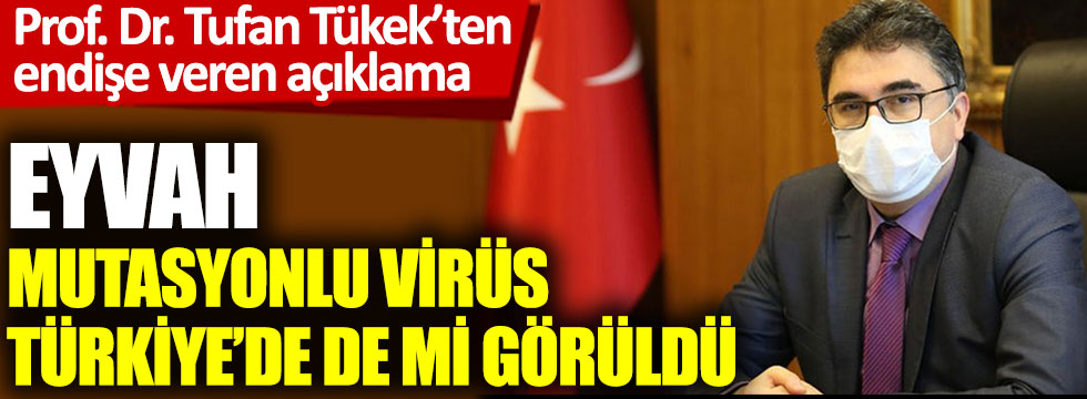 Prof. Dr. Tufan Tükek'ten endişe veren açıklama. Eyvah mutasyonlu virüs Türkiye'de de mi görüldü