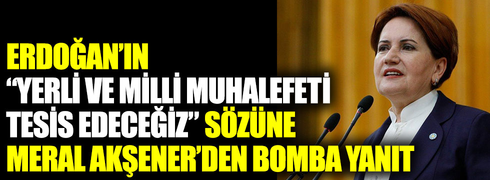Erdoğan'ın yerli ve milli muhalefeti tesis edeceğiz sözüne Meral Akşener'den bomba yanıt