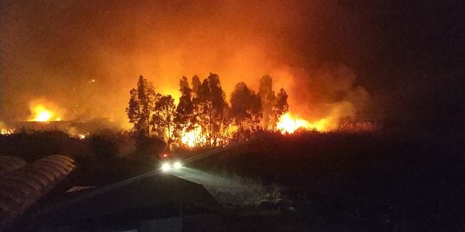 Muğla'daki yangında seraları olan çiftçiler seferber oldu