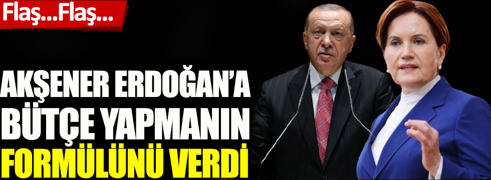 Meral Akşener Cumhurbaşkanı Erdoğan’a bütçe yapmanın formülünü verdi