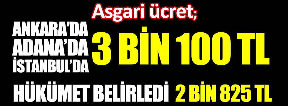 Asgari Ücret Ankara'da, Adana'da, İstanbul'da 3 bin 100 TL. Hükümet belirledi 2 bin 825 TL