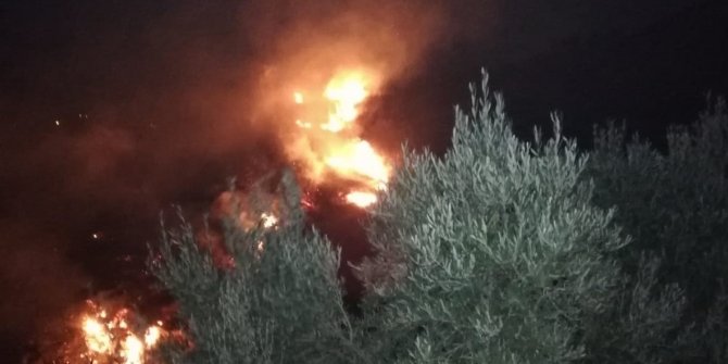 Hatay'da zeytinlik alandaki yangın 3 saat sonra söndürülebildi